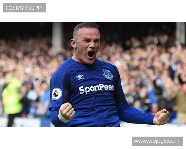 热刺与埃弗顿精彩对决完整视频回顾及赛后分析